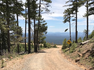 road bend along edge of Mogollon Rim Road