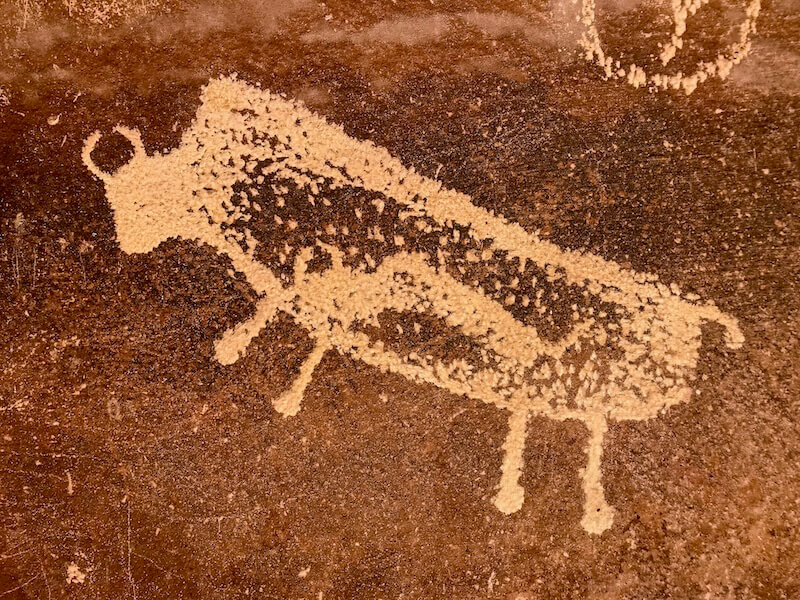 pregnant bison petroglyph bearing visible horned fetus